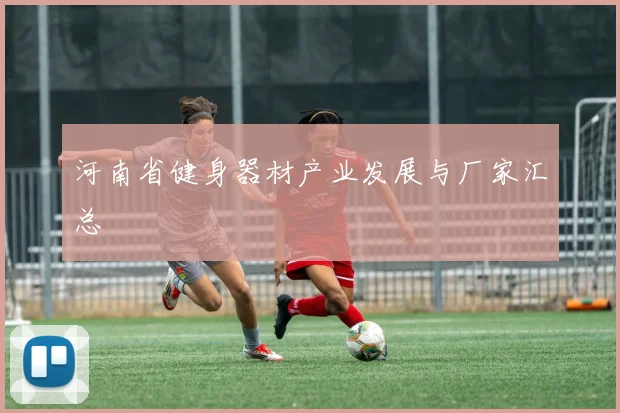 河南省健身器材产业发展与厂家汇总
