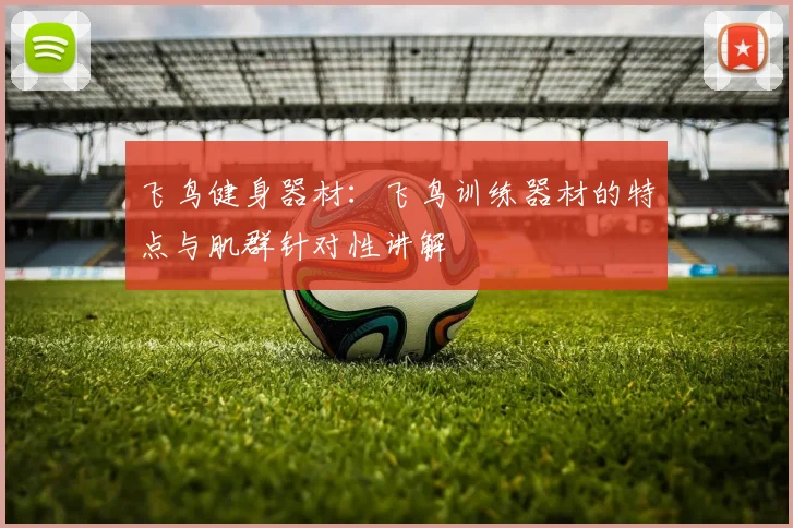飞鸟健身器材：飞鸟训练器材的特点与肌群针对性讲解