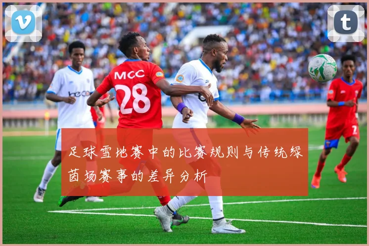 足球雪地赛中的比赛规则与传统绿茵场赛事的差异分析