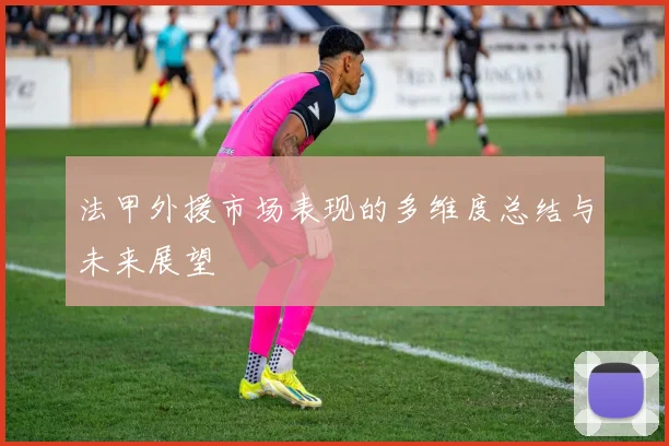 法甲外援市场表现的多维度总结与未来展望