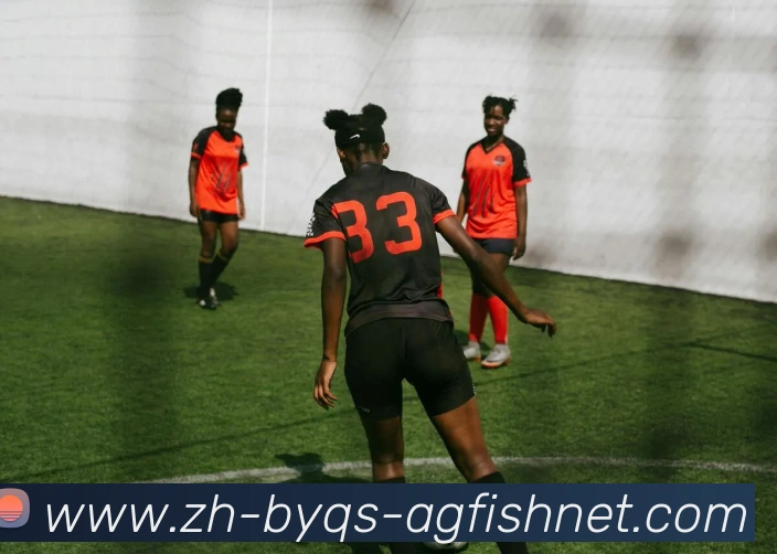 多媒体互动体验