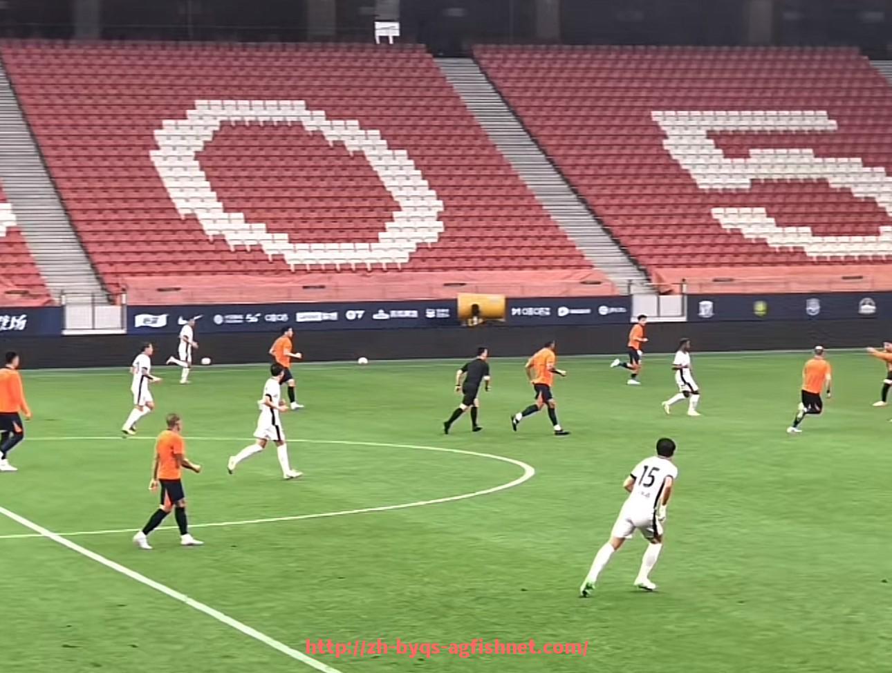 AG捕鱼王官网-意甲锋霸转会中超球队案例盘点与转会背景分析