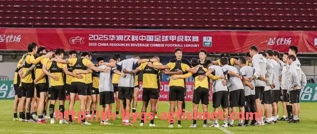 AG捕鱼王官网-意甲与德甲各球队之间的关系及交流情况